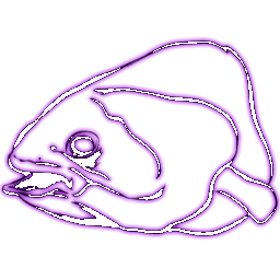 Aberrant Coelacanth