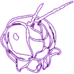 Aberrant Meganeura