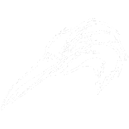 Kairuku