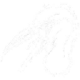 Pelagornis