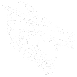 Daeodon