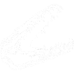 Liopleurodon