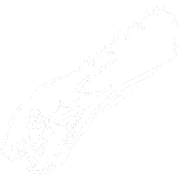 Plesiosaur