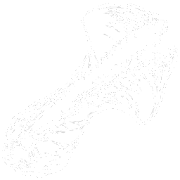Tropeognathus