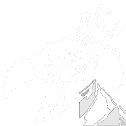 X-Argentavis