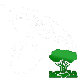 X-Parasaur