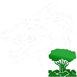 X-Raptor