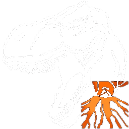 X-Rex
