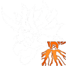 X-Triceratops
